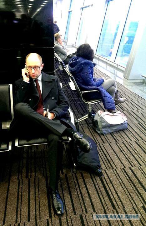 В закромах у Януковича