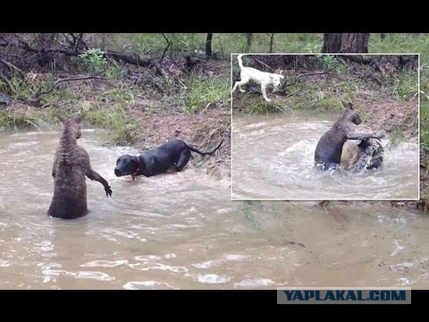 Спорим, вы не знали