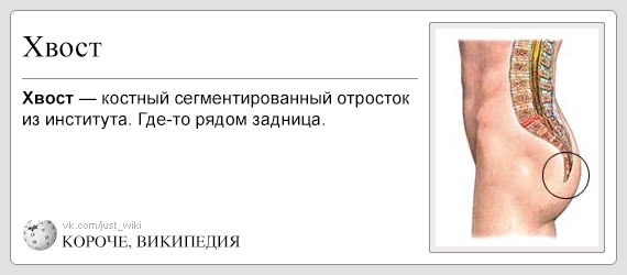 КОРОЧЕ ВИКИПЕДИЯ