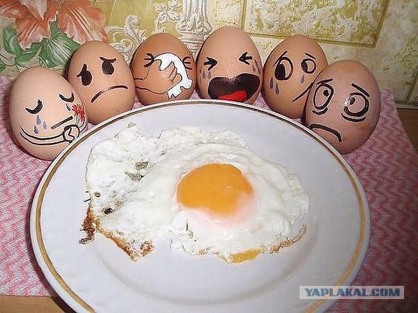 Небольшая подборка фото