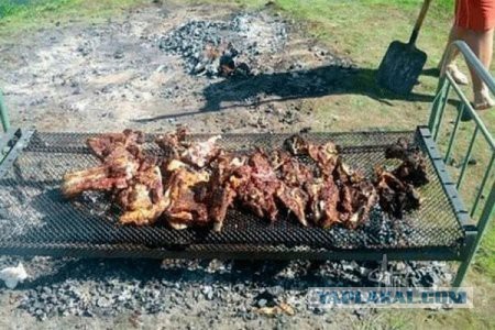 Немного смешных картинок из сети
