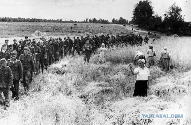 40 удивительных исторических фотографий