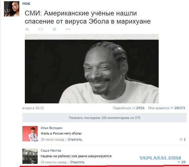 Смешные комментарии из социальных сетей
