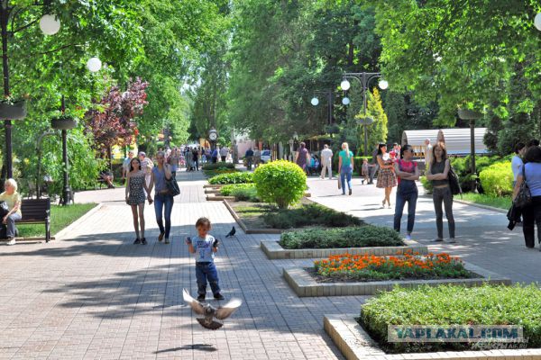 Город контрастов: война и мир современного Донецка