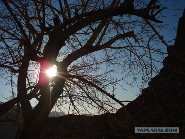 Путешествие по Ирану