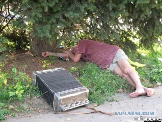 Комментарии иностранцев