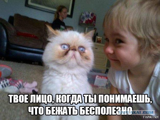 Несколько картинок