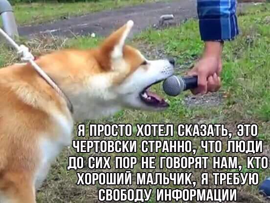 Нестандартный юмор