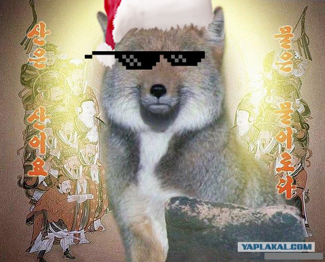Яповцы, оновогоживайтесь!