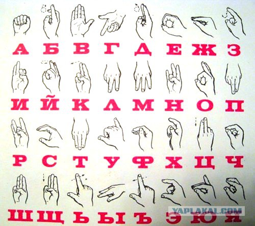 Язык жестов алфавит русский в картинках для начинающих с ответами таблица