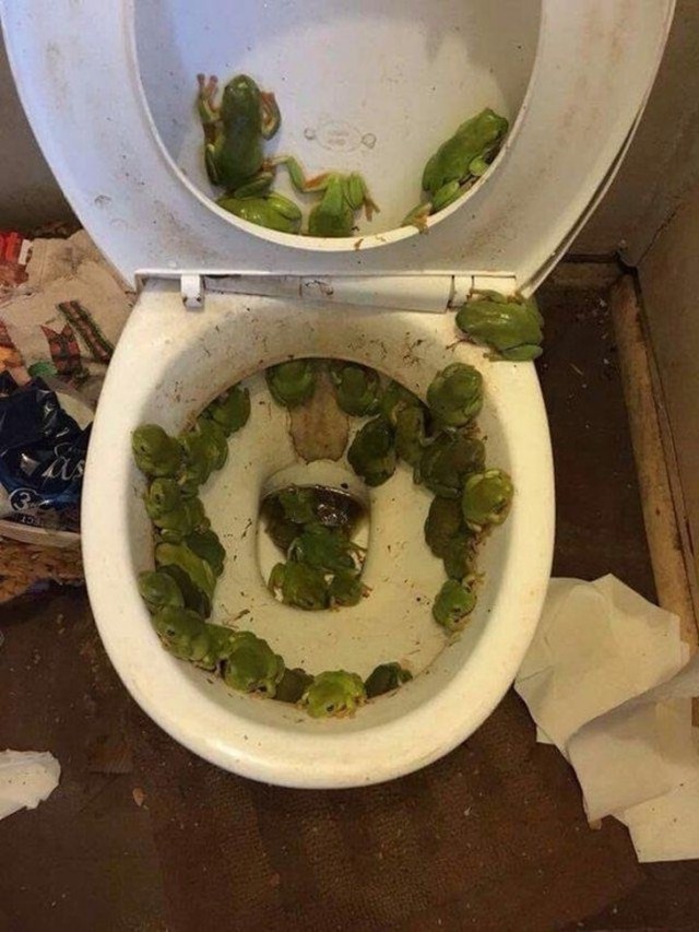 Секс — это игра
