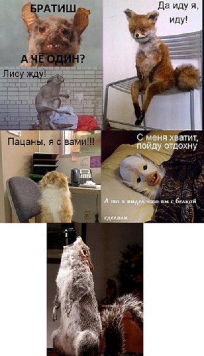 Прикольные картинки.