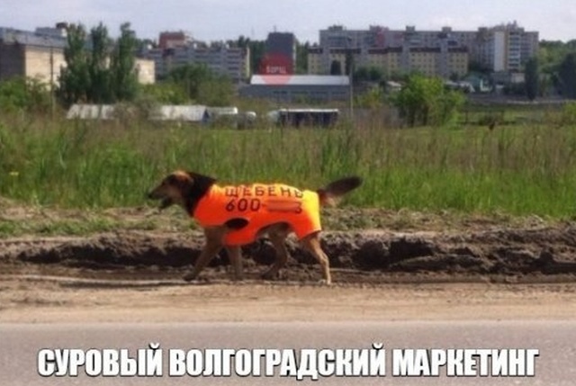 Нестандартный юмор