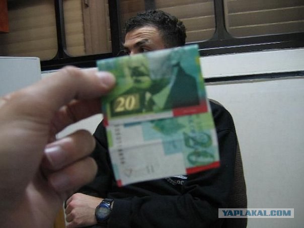 Новые баксы.