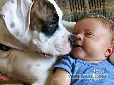 Лучшие друзья навсегда