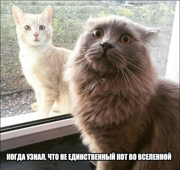 Смешные комментарии от vasek005