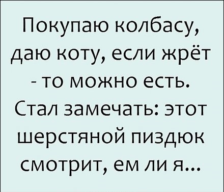 Картинки с надписями,истории и анекдоты