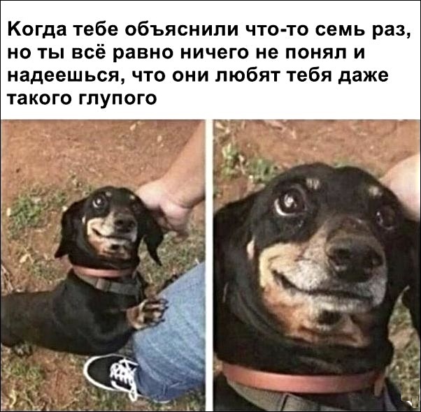 Картинки с надписями, истории и анекдоты