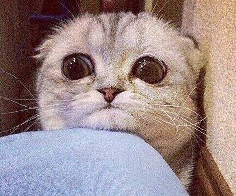 Пикантный салат из кабачков.