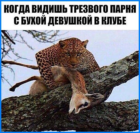 Немного картинок с надписями и без - 15