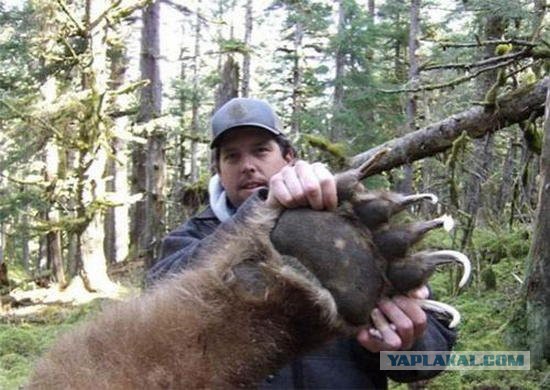 Канадские борцухи