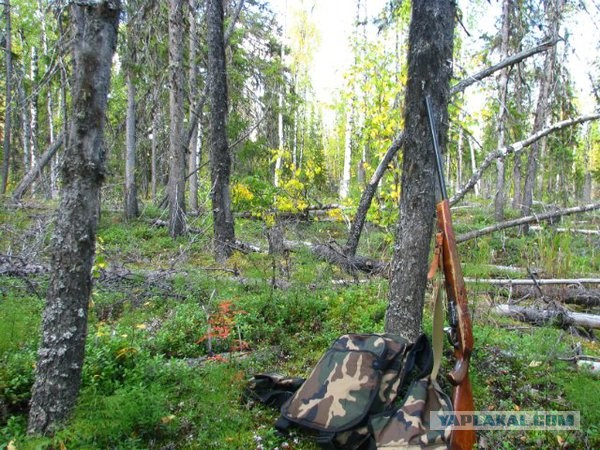 Экспедиция в Северную Тайгу