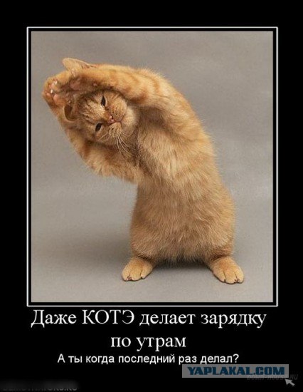 Конкурс "Лучший виртуальный спортсмен". Участвуй!