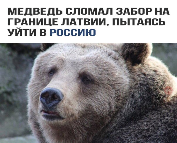 Немного картинок для настроения 04.02.20