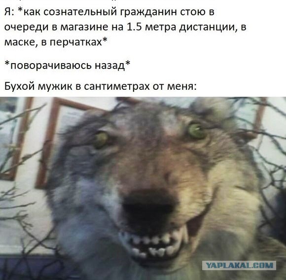 Народ, хватит дышать мне в спину!