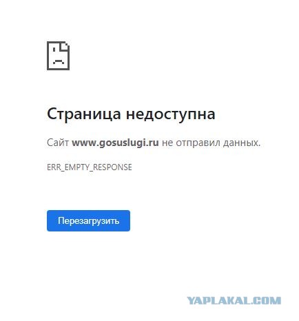 Сайт Госуслуг рухнул после обращения Путина