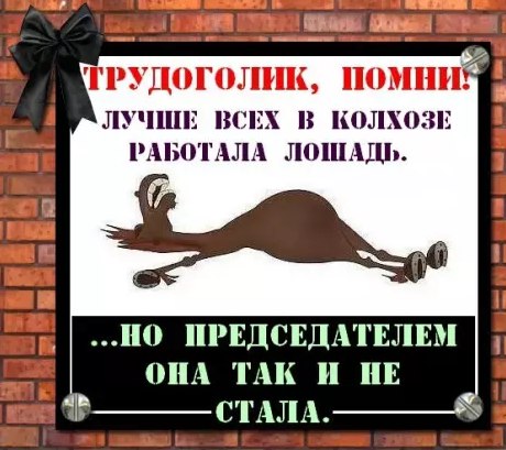 Картинки разнообразные. На злобу дня и на доброту (18.06)