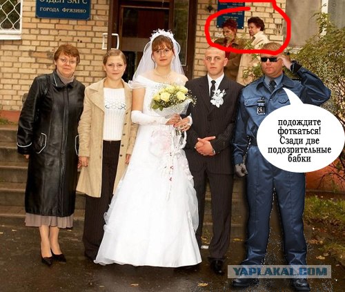 свидетель из фрязино оригинал. свидетель из фрязино мемы. свидетель на свадьбе. свидетель фрязино могила. свадьба в спортивных костюмах.