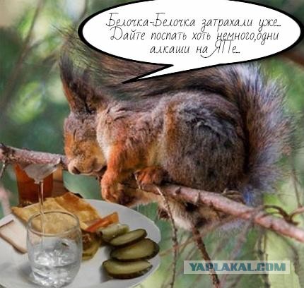 Таких животных не бывает?