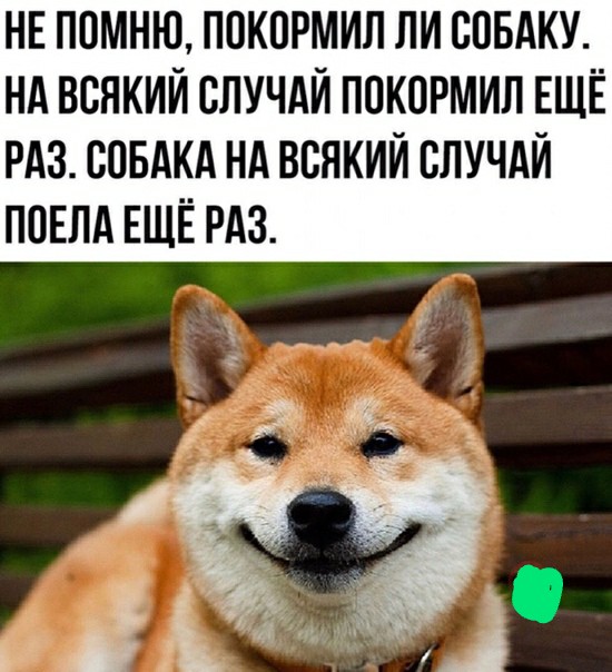 Немного картинок для настроения 22.09.20