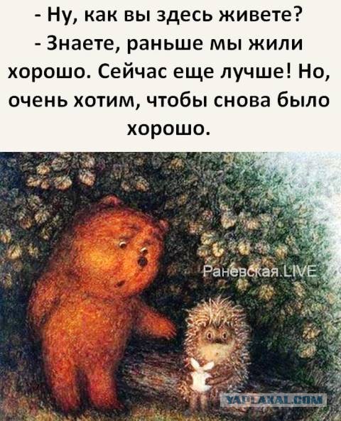 Немного картинок для настроения 05.11.20