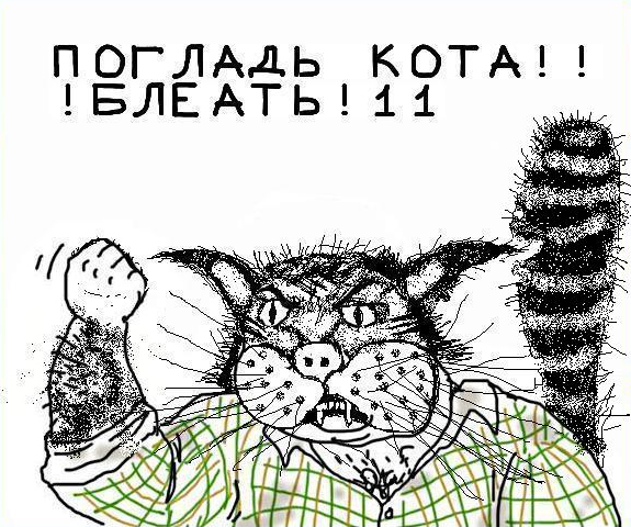 Будь мужиком, скажи что думаешь!