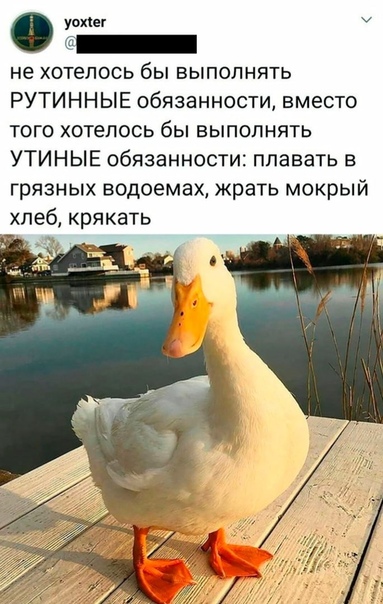 Немного картинок для настроения 18.11.20
