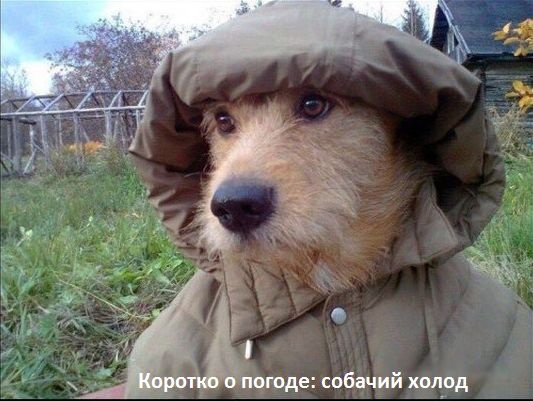 Картинки и мемы для настроения 014