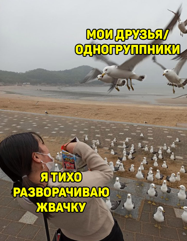 Весёлый полтишок 1.04