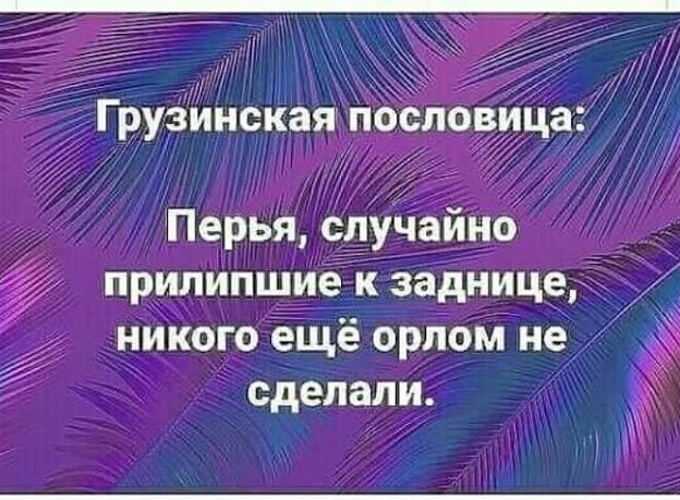 Кретинизмы из сети 20.07.21
