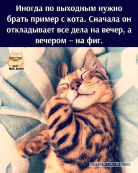 Бредзона 08.08.21