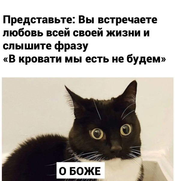 Картинки и мемы для настроения 03.11.2021