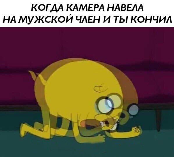 Картинки из рабочего чата 13.11.21