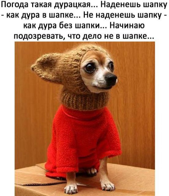 Подборка картинок всяческих 09.02.2022