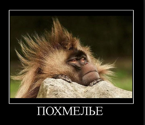 Алкопост 9.07.22
