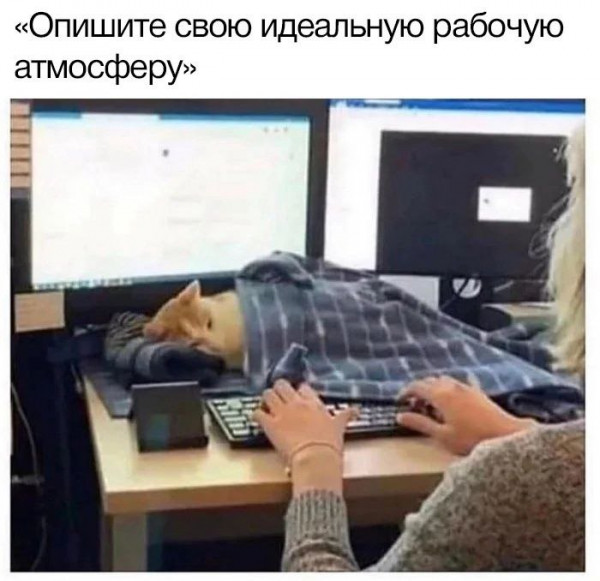 Немного картинок для настроения - 114