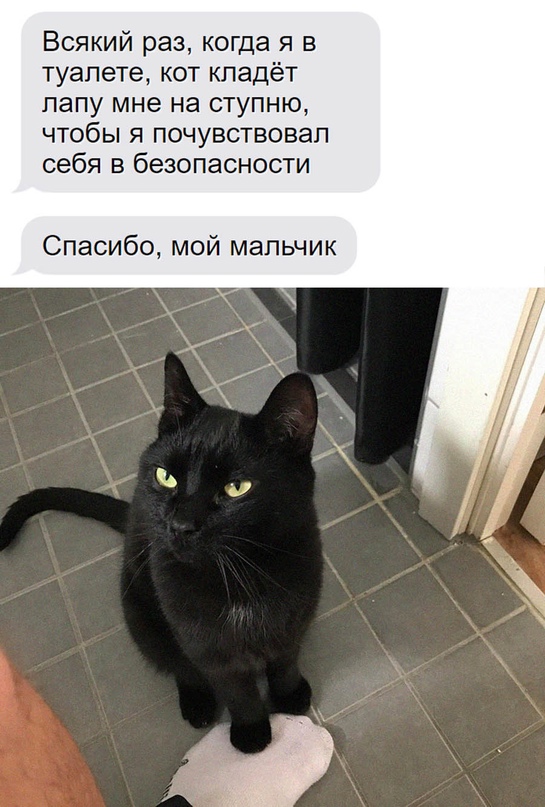 Картинки и мемы для настроения - 119