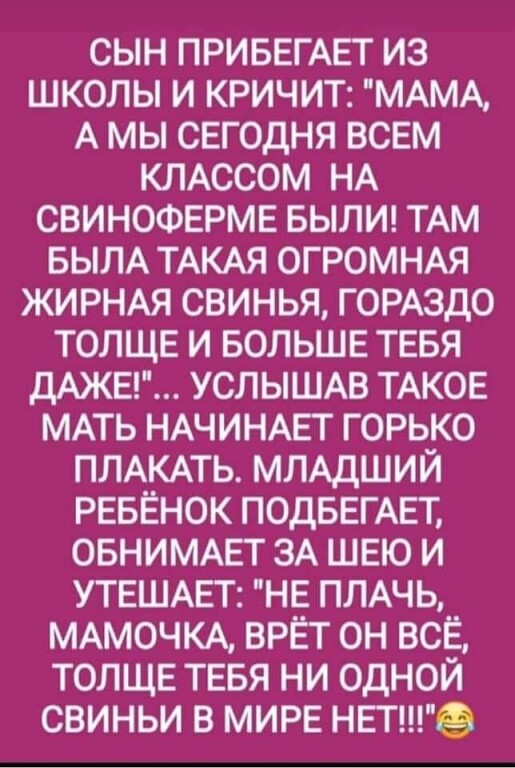 Весёлый полтишок 08.11.22