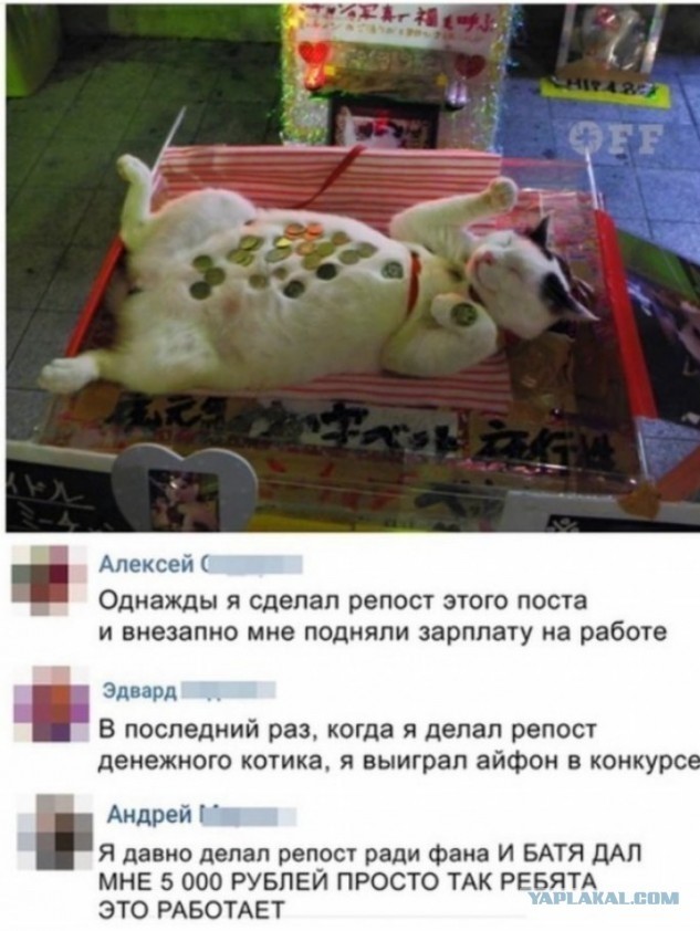 Извините. Деньги очень нужны