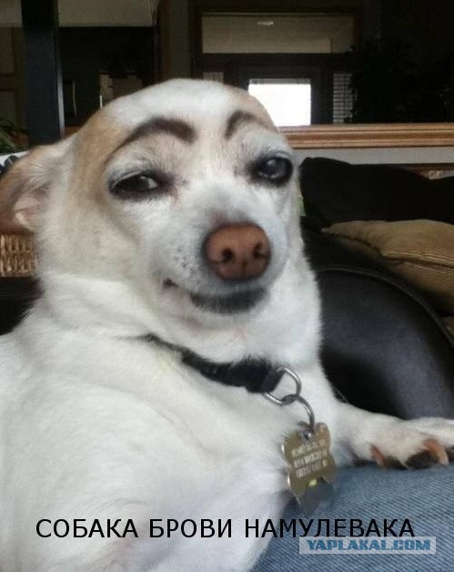 "Наревела" или как слезы увеличивают сиськи